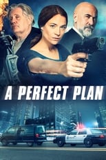 VER A Perfect Plan (2020) Online Gratis HD