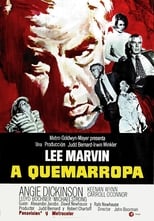 VER A quemarropa (1967) Online Gratis HD