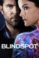 Blindspot (2015) 2x20