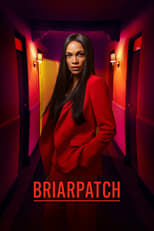 VER Briarpatch (20192020) Online Gratis HD