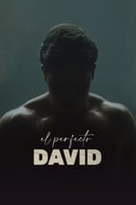 VER El perfecto David (2021) Online Gratis HD