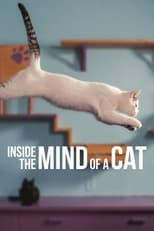 VER En la mente de un gato (2022) Online Gratis HD