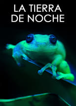 VER La Tierra de Noche (2020) Online Gratis HD