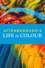 La vida a todo color, con David Attenborough (2021) 1x2