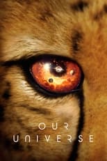 VER Nuestro universo (2022) Online Gratis HD