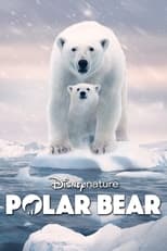 VER Osa Polar (2022) Online Gratis HD