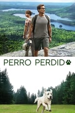 VER Perro perdido (2023) Online Gratis HD