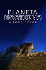 VER Planeta nocturno: a todo color (2020) Online Gratis HD