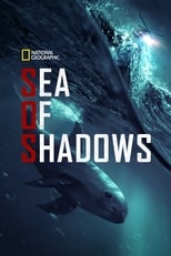 VER Sea of Shadows (2019) Online Gratis HD