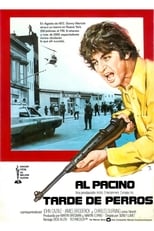 VER Tarde de perros (1975) Online Gratis HD