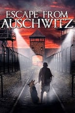 The Escape from Auschwitz (2020)