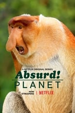 Un planeta absurdo (2020) 1x12