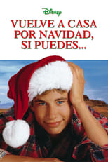 Vuelve a casa por Navidad, si puedes... (1998)