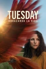 Tuesday (2023)